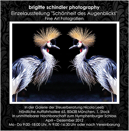 Ausstellung in München: Schönheit des Augenblicks - 52 Fine Art Fotografien - brigitte schindler photography - April bis Dezember 2012