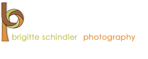 brigitte schindler photography